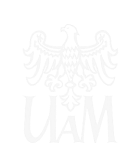 Uniwersytet im. A. Mickiewicza w Poznaniu (Fundacja UAM)
